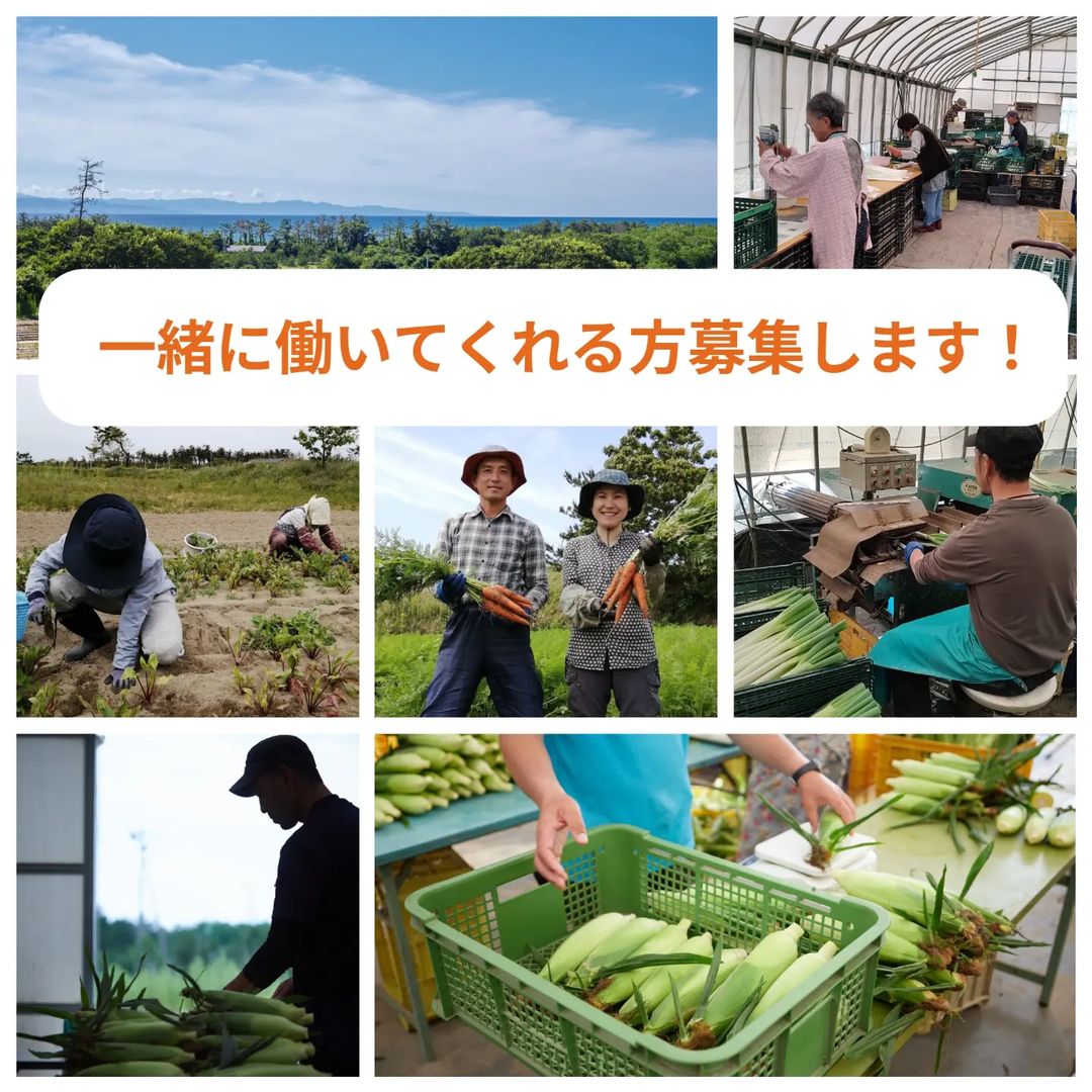 募集終了】一緒に働いてくれる方募集します！ – すずまさ農園