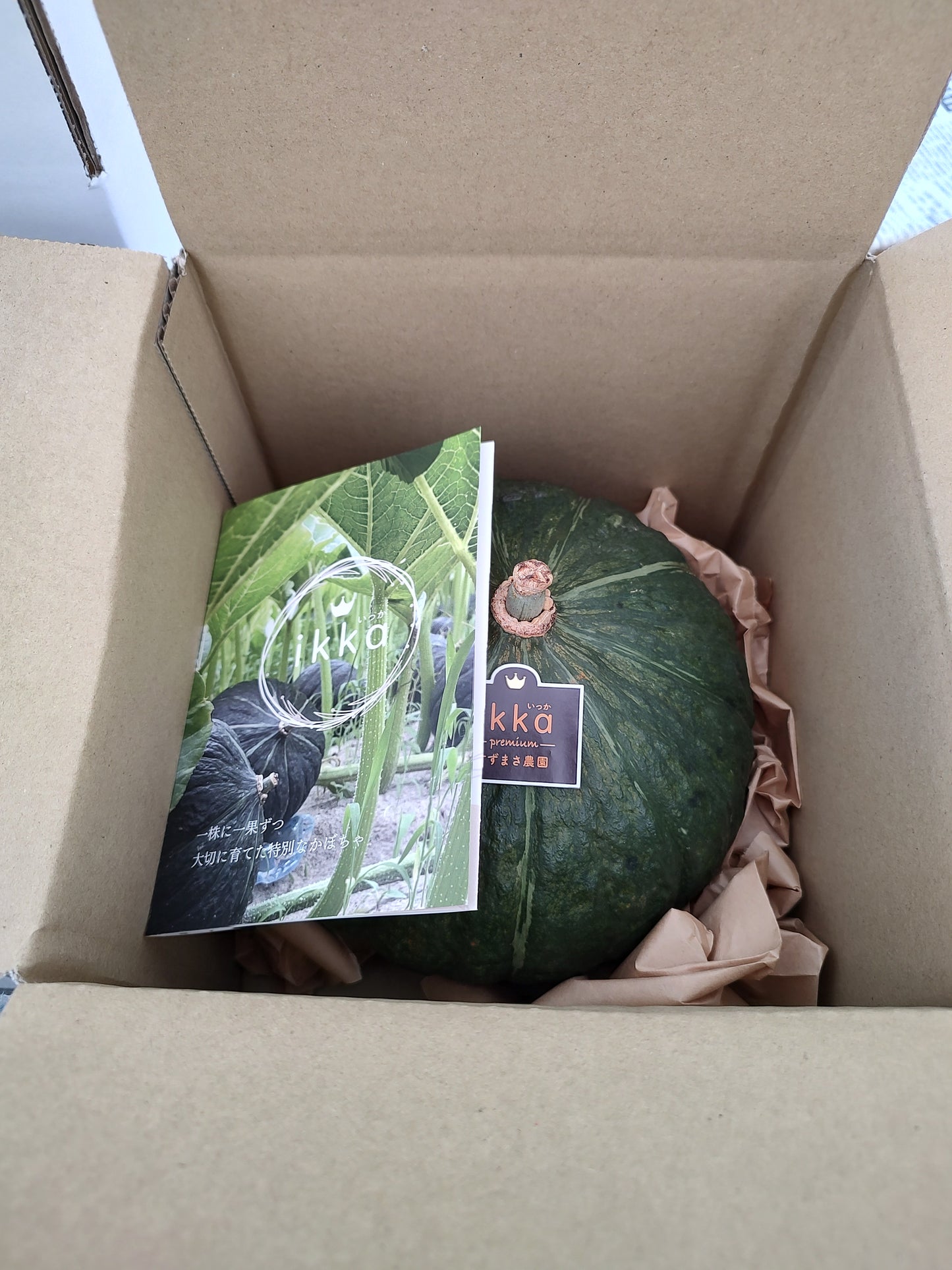 【8月下旬~9月発送】かぼちゃikkaプレミアム 1個入