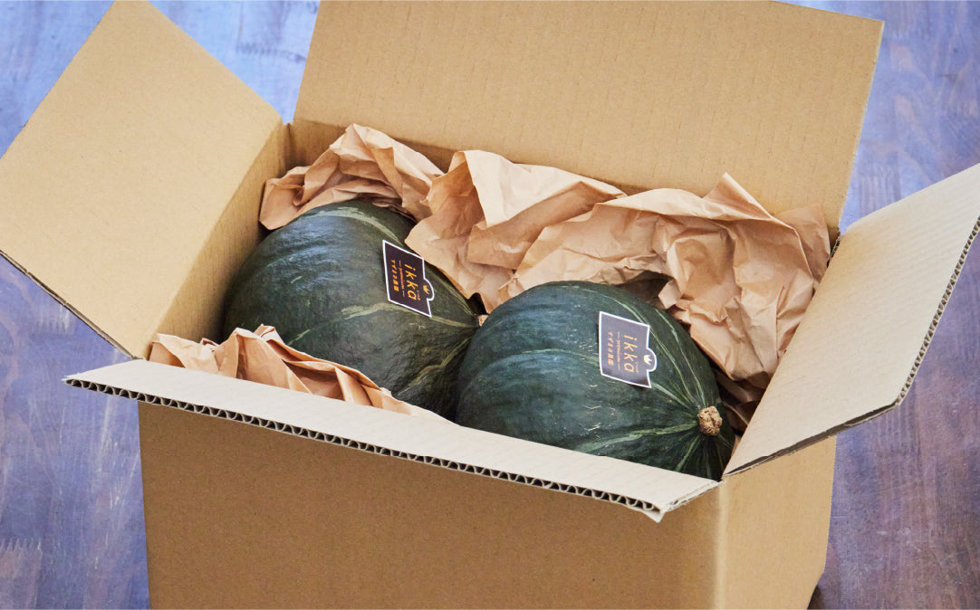 【12月中旬~1月下旬発送】かぼちゃikkaプレミアム 2個入