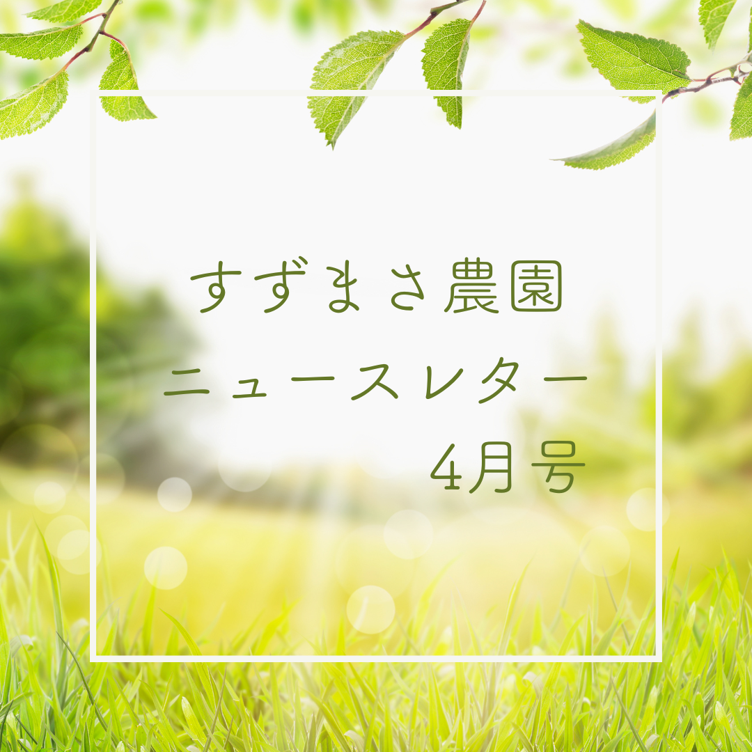2025年4月のニュースレター