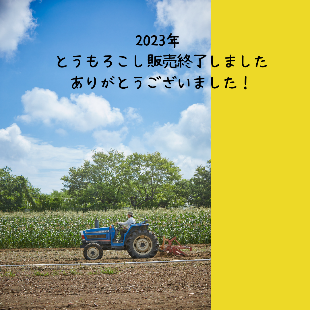 2023年トウモロコシの販売を終了しました、ありがとうございました！