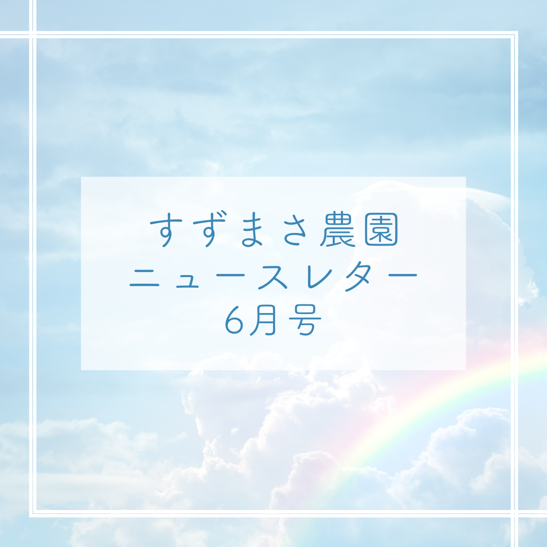 2024年6月ニュースレター