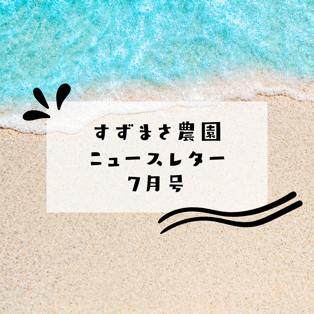 2024年7月ニュースレター