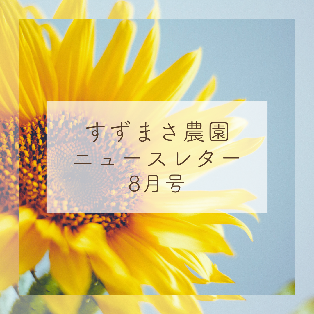 2024年8月ニュースレター