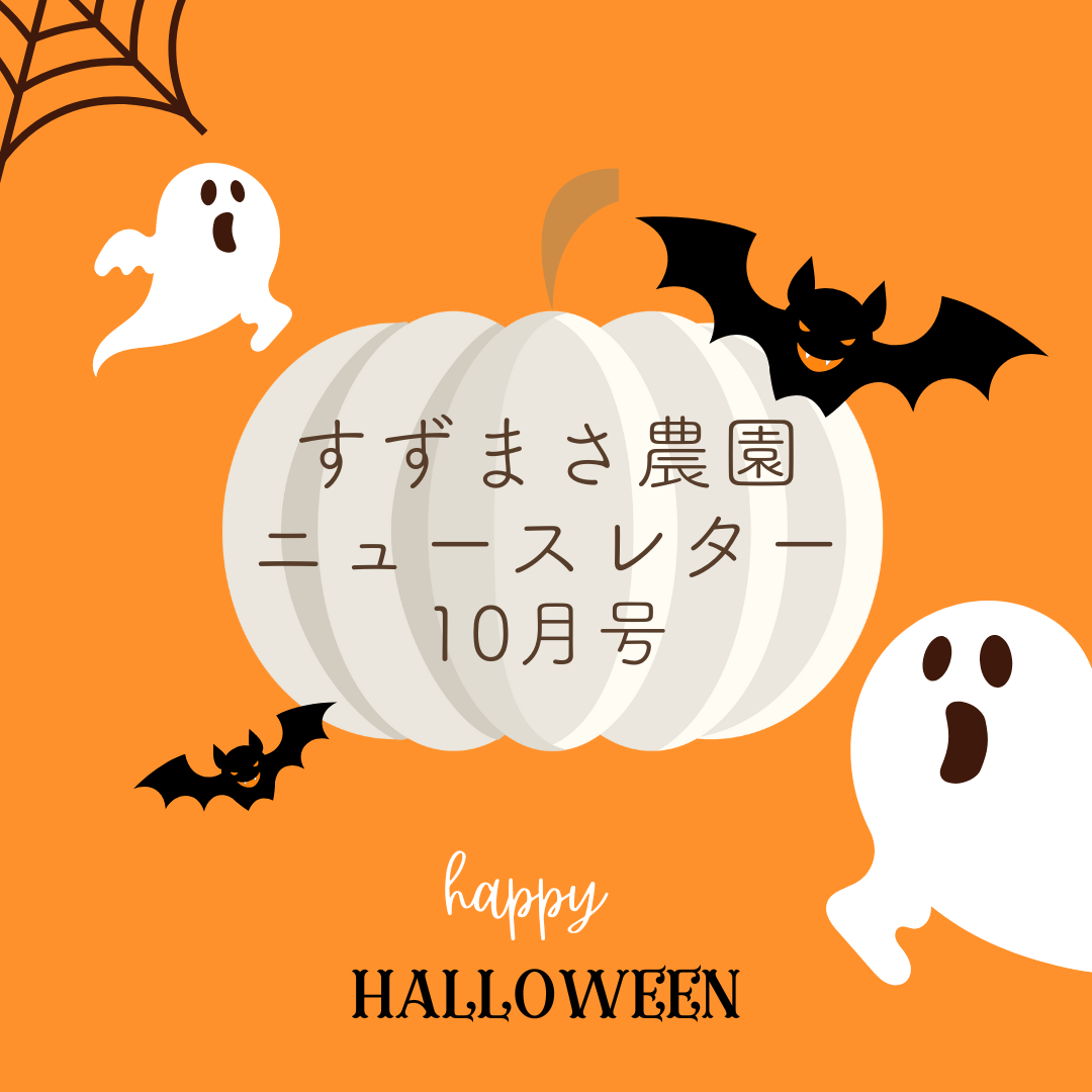 2024年10月ニュースレター