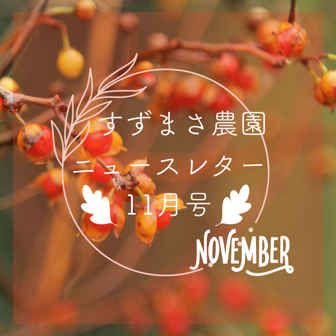 11月ニュースレター