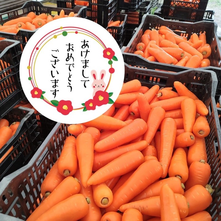 明けましておめでとうございます