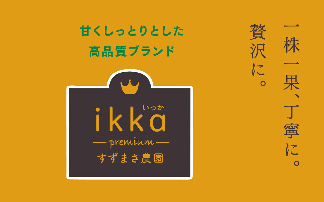 【12月中旬～1月下旬発送】かぼちゃikkaプレミアム 2個入